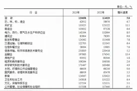 2023年全国城镇非私营单位就业人员年平均工资为12万元图片