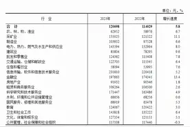 2023年全国城镇非私营单位就业人员年平均工资为12万元图片