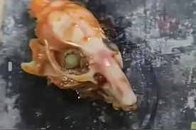 甘肃辟谣“吃牛肉面发现疑似动物头”！系网民为博眼球发布图片