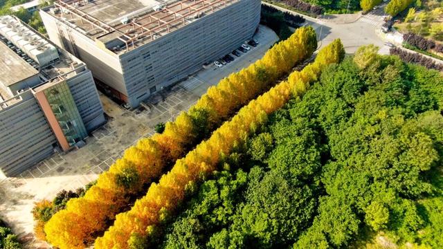 又是一年秋好处