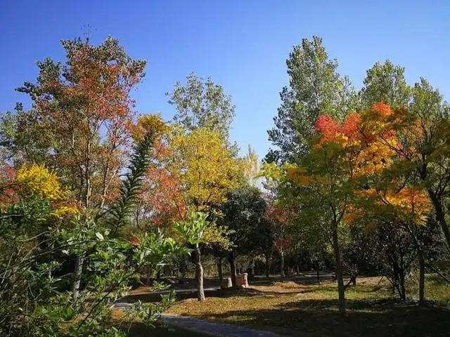 别再问周末去哪了！郑州这些宝藏公园不可错过→