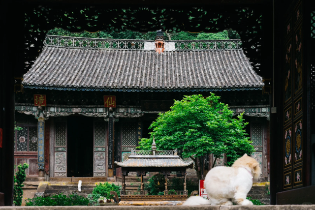 【建水←→巍山】旅游专列开启，州庆一起去大理！