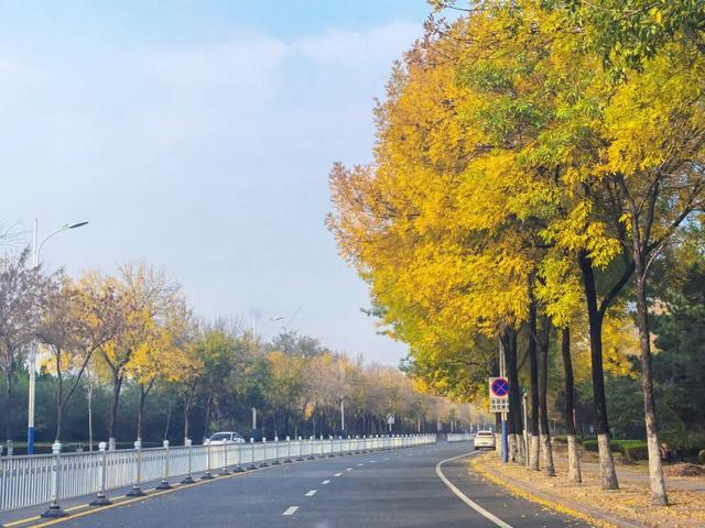 此刻！石臼街道的美景！