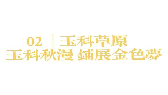 道孚的秋天正在派件中...