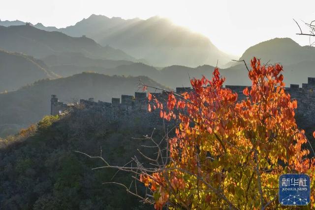 秋声渐杳 斑斓成诗