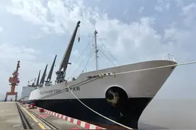 台州大麦屿，4700余吨猕猴桃抢“鲜”通关图片
