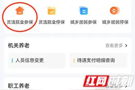 错过不能补缴！湖南灵活就业人员养老保险缴费期延长至6月底图片
