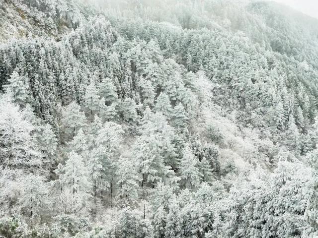 羊狮慕雪国仙境已上线｜大雪持续中，快来福山赏雪！