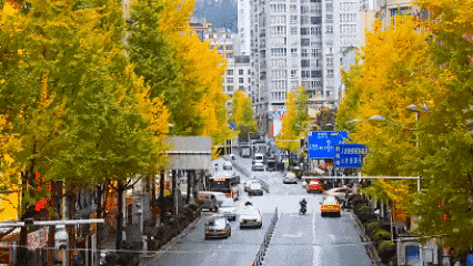 现在的黔南，已经美成这样了→