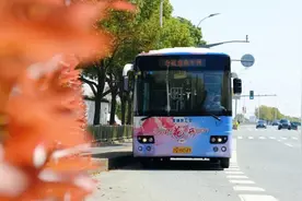 这条桃花节定制公交线开通图片
