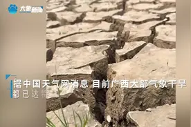 广西贵港干旱水库出现干涸，水利局：优先保证人饮图片