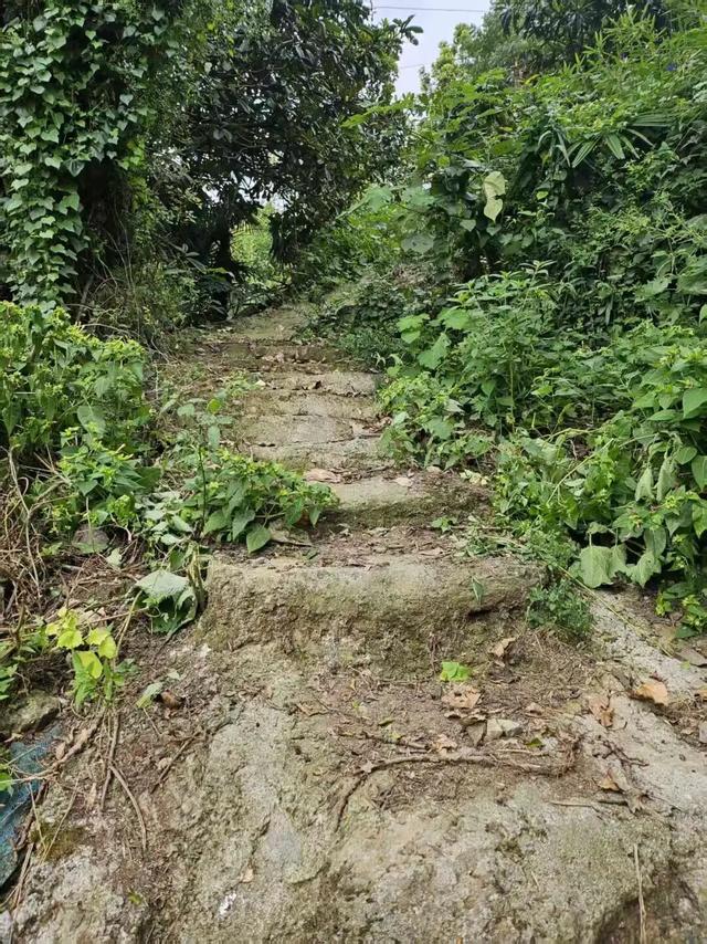 龙场九驿纪行丨归化驿：历史风雨演绎交通蝶变