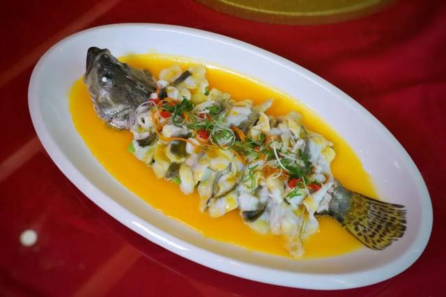 2025年广东旅游文化节即将开幕，清远准备好啦！