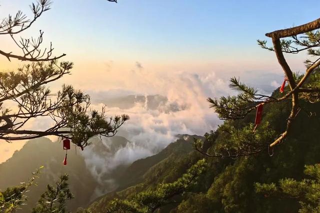 人民日报点赞，赵立坚推荐，央视播报！白云山到底有多仙？