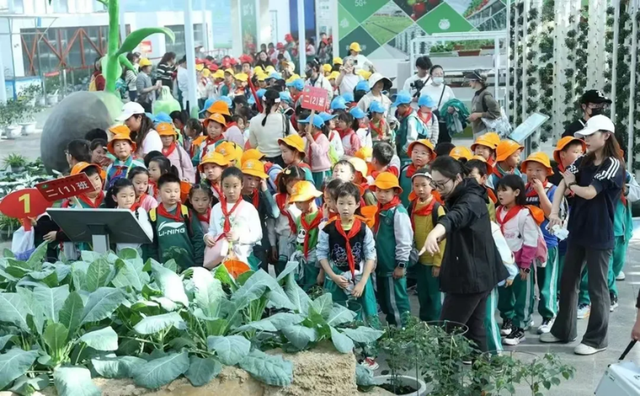 一路向西！玩遍宿城8处“乡村秘境”