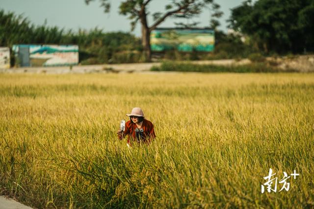 一条河的城乡脉动 |  三年初见成效 汕域探新录