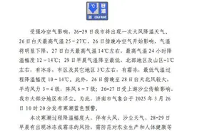 气温骤降14℃！济南市发布寒潮蓝色预警 多地有冰冻+7级大风+沙尘图片