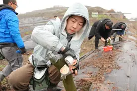 打造“基因宝库” 四川威远300多个无花果新品种有了“身份证”图片