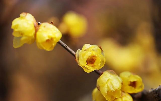 “Mei，我在连云港想开了！”