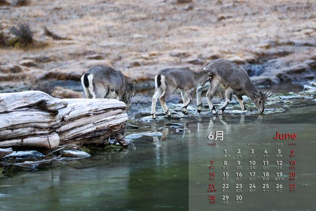 收藏！2026壁纸来了，稻城亚丁美景伴你每一天