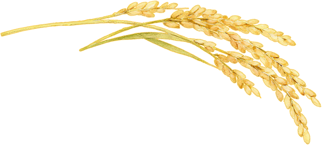 秋日限定，太仓这里超好玩！