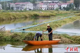 湖北“稻虾小镇”三产融合奏响生态种养协奏曲图片