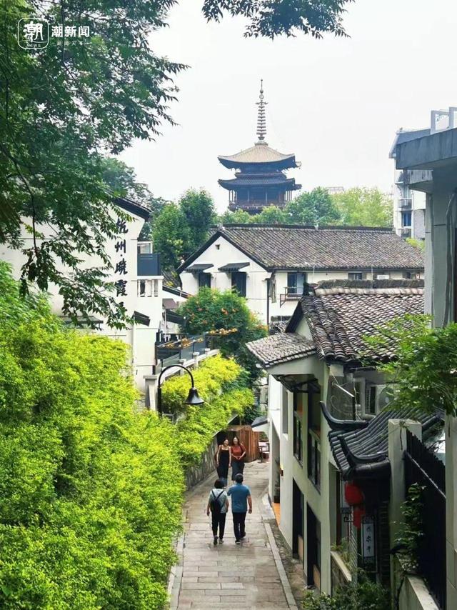 杭州私藏“绿色取景框”合集，六和塔之外还有这些神仙窗景