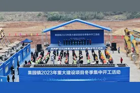 【奋进结硕果 新岁启新程】  笃行！向新！项目花开满果园图片