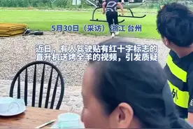 “红十字飞机送烤全羊”涉事网友致歉：未及时撕掉红十字标志确实不妥，直升机送羊是营销噱头图片