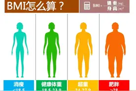 一胖毁所有，肥胖危害知多少图片