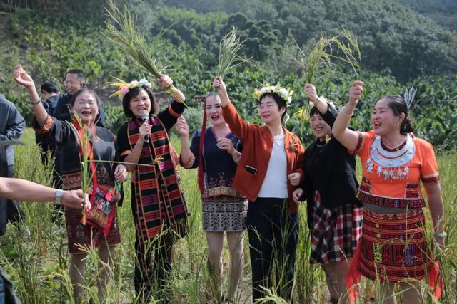 多图+视频！一起回看2025年白沙“啦奥门”雨林与您山兰文化活动精彩瞬间