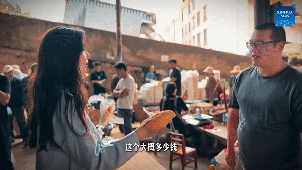体验云南 | 通海日记