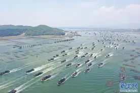 世界海洋日 | 我们与海洋“羁绊”，是一场双向奔赴图片