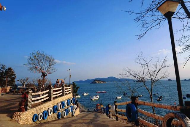 “鸥”遇环翠 “雪”舞浪漫丨威海这个地方，来一百次也不会腻