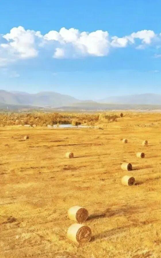 跟着蒙超去旅行！赛场战鼓撞上双城秋日，这里的秋景简直是颜值天花板