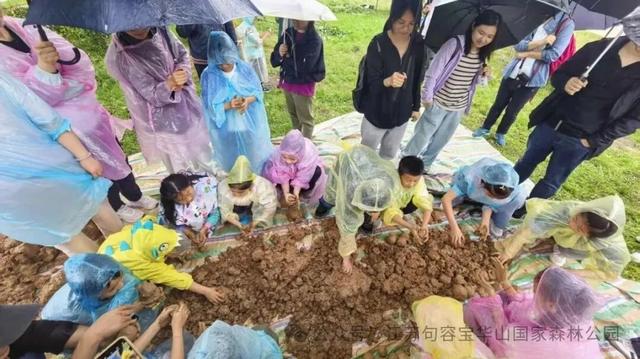 宝华山科普研学招募！速报名