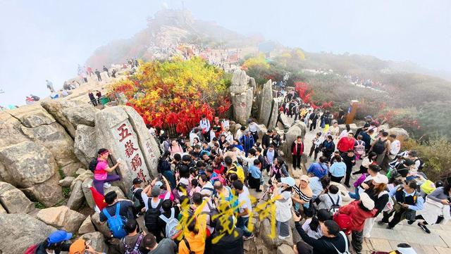 沉浸式、互动型假日新体验成引流神器！多雨“双节”，好客山东客流、营收仍实现双增长 | 国庆中秋·嘻游记