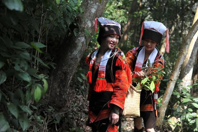 广西旅游攻略大赛收官在即！晒攻略解锁惊喜大奖！