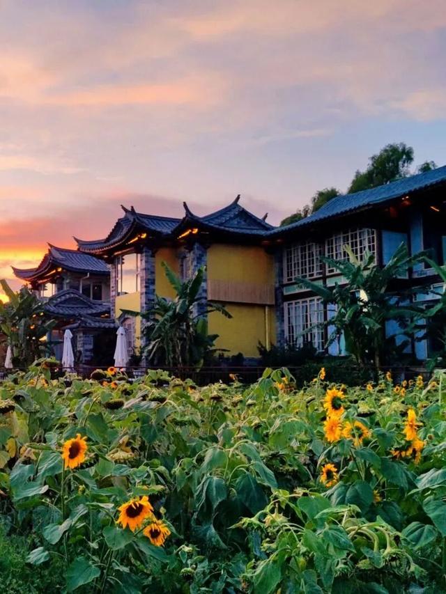 一周之内两次被外交部“种草”，红河凭什么？