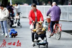 天冷加被！未来三天广州最低气温都低于10℃图片