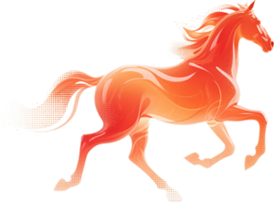 春节来江宁！这份潮玩指南快收好→