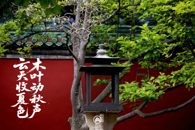 立秋未秋 与夏末共逢天坛