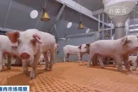 【早读】市面上常添加硼砂的5种食物，真的要少吃，很多人买回家都没发现图片