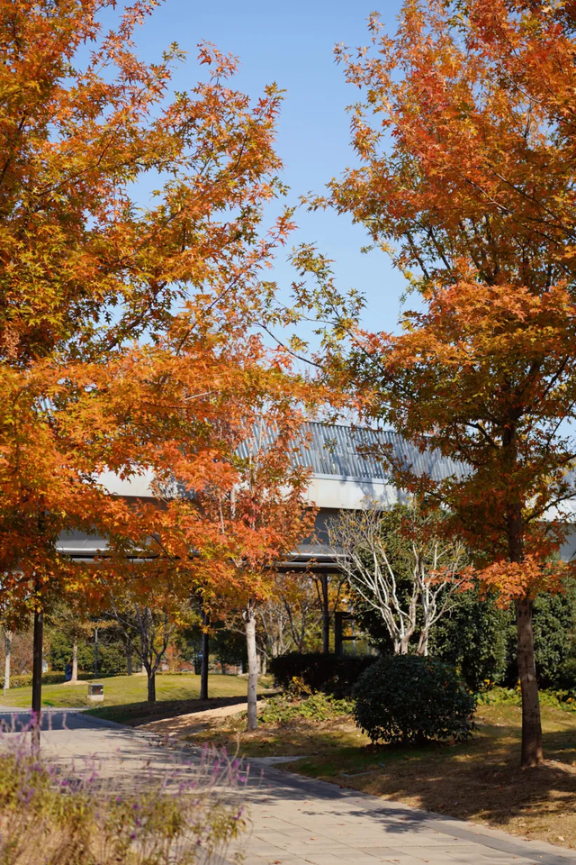 网红纷纷奔赴这！上海这座通往 “欧洲城堡” 的绝美旋梯火了！