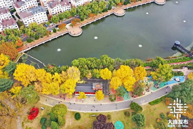 尽享秋日浪漫，大连24个“叶景打卡地”名单来了！
