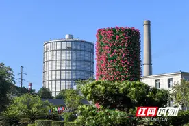 观察丨行业下行 无资源和区位优势 湘钢缘何逆势上扬？图片