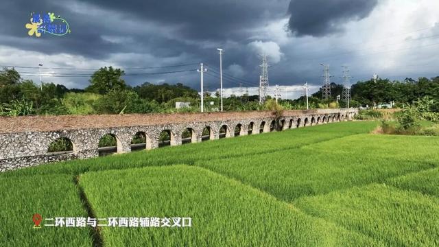玉林二环路边上“时光水渠”，随手拍都出片