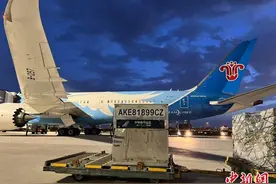 时隔四年首批澳大利亚进口龙虾抵达广州图片