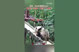 谭爷爷“人教版”滑滑梯教学 “花花”终于不用“脸刹”了图片