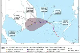 浙江多地下雪！气温开启“过山车”行情图片